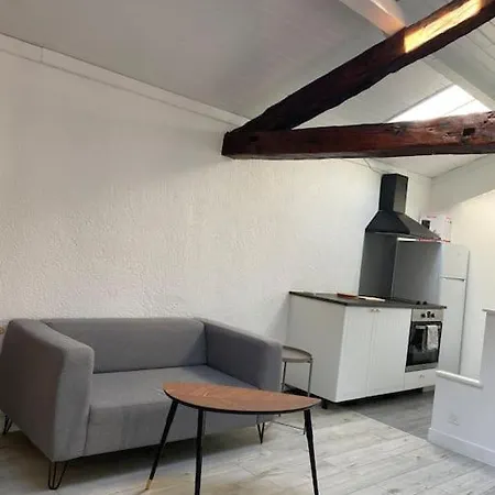Studio Sous Les Toits Paisible Клермон-Ферран