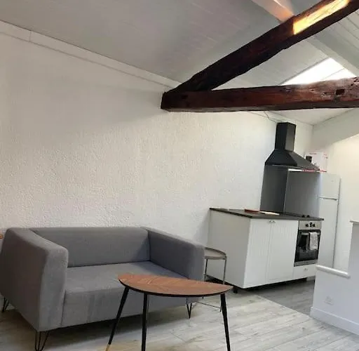 Studio Sous Les Toits Paisible Clermont-Ferrand